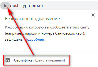 Где хранятся расширения chromium gost